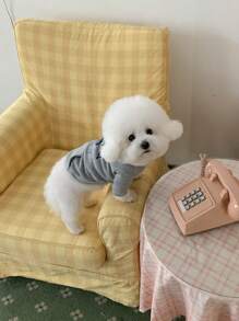 1 件新款秋冬狗狗猫咪连帽运动衫，百搭套头衫，适合贵宾犬、比熊犬、雪纳瑞犬和小型宠物 - 彩色 - 查看 10