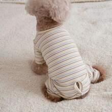 1 قطعة قميص داخلي للحيوانات الأليفة مخطط بالبرتقالي ذو أربع أرجل، مناسب للقطط والكلاب، يمكن ارتداؤه في الربيع