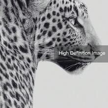 1/3pcs Unframed Black White Stockholm Cheetah Melting Clock Preppy Stylish Poster Leopard Y2K Wall Art Canvas Print Minimalist Fashion Girly Room Chic Aesthetic Decor Funky Painting For Apartment,Living Room,Bedroom,Modern Home Decoration