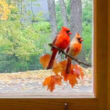 Adesivi decorativi per finestre - Cardinali rossi e motivi floreali, pellicola adesiva per finestre, pellicola decorativa trasparente per privacy per casa, camper, ufficio - Facile da applicare e rimuovere, decorazione resistente alle intemperie, adesivi per finestre, effetto vetro colorato, decalcomania rimovibile, decoratori per la casa, decalcomania a motivo di uccelli, pellicola ad alta trasparenza, adesivi per pareti di camper, adesivo per pareti, decorazione per la stanza