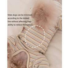 1 قطعة قميص داخلي للحيوانات الأليفة مخطط بالبرتقالي ذو أربع أرجل، مناسب للقطط والكلاب، يمكن ارتداؤه في الربيع