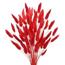 17 Natural Bunny Tails Dried Flowers, 120 Pcs Dried Lagurus Ovatus, Dried Blue Pampas Grass Decor For Farmhouse Flower Arrangements Wedding Home Party Decorations-544931 - Red-50pcs - 查看 1