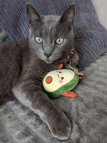 Cat Teasing Toys - Cute & Soft Interactive Playmate For Cats & Dogs, Perfect Gift For Pet Birthdays & Adoption Days (1PC) - Multicolor - View 6