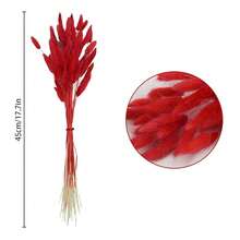 17 Natural Bunny Tails Dried Flowers, 120 Pcs Dried Lagurus Ovatus, Dried Blue Pampas Grass Decor For Farmhouse Flower Arrangements Wedding Home Party Decorations-544931 - Red-50pcs - 查看 4