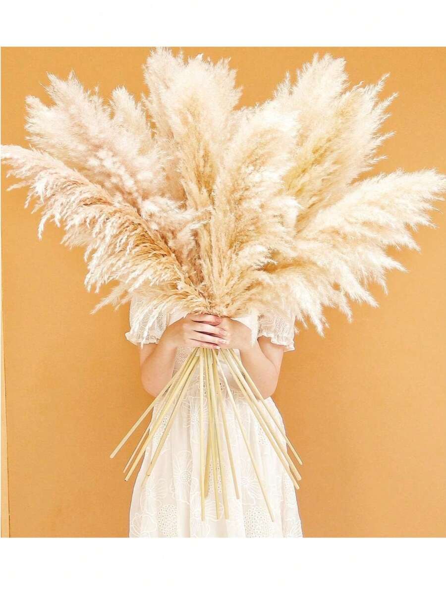 5/10/15/20pcs 20 Inch/50cm Tall Beige Pampas Grass Stems, Ideal For Adding Boho Vibes To Your Space - Pampas Grass Is Perfect For Floral Arrangements, Vases, Weddings, And Creating A Bohemian Atmosphere At Home. Christmas And Valentine's Day Wedding Decor - White - View 1