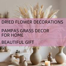 Extra Large Dried Floral Bouquet 119PCS/362PCS/653PCS Bundle - Abundant Pampas Grass & Plush Bunny Tails - Timeless Beige Ivory White Palette - Hassle-Free Forever Flowers For Vases - Ultimate No Fuss Decor - Versatile For Scandinavian Minimalist, Boho, Or Contemporary Interiors - Brightens Bedrooms, Offices, Cafes, Weddings, Porches & Makes A Stunning Present - 米色 - 查看 4
