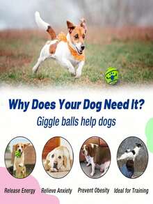 猫狗宠物声音球玩具宠物互动智力训练球玩具趣味摇晃咯咯球狗玩具缓解焦虑训练清洁牙齿内置发声宠物球玩具适用于室内和室外狗咀嚼玩耍和触摸训练用品三种尺寸的声音球玩具适用于大型犬和中型犬小型犬绿色 - 綠色 - 查看 9