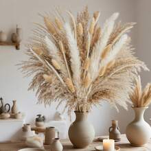 Extra Large Dried Floral Bouquet 119PCS/362PCS/653PCS Bundle - Abundant Pampas Grass & Plush Bunny Tails - Timeless Beige Ivory White Palette - Hassle-Free Forever Flowers For Vases - Ultimate No Fuss Decor - Versatile For Scandinavian Minimalist, Boho, Or Contemporary Interiors - Brightens Bedrooms, Offices, Cafes, Weddings, Porches & Makes A Stunning Present - 米色 - 查看 1