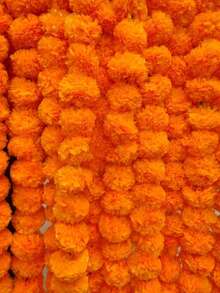 5英尺长的仿真万寿菊可用于宗教仪式、婚礼、活动装饰、家居装饰、房间装饰、墙面装饰、生日和毕业礼物等。 - 亮橙色 - 查看 5