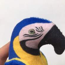 宠物纸质玩具、毛绒宠物咀嚼玩具、仿真鹦鹉狗玩具、逗猫棒、宠物互动娱乐玩具 - 彩色 - 查看 7