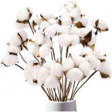 Natural Dried Cotton Stems 8-Pack For Floral Arrangements - 8 - View 12