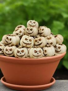 15pcs Halloween Resin White Miniature Pumpkins, Harvest Joy | Creative Simulated Pumpkin Statue Props, Home Garden Bonsai Accessories, Garden Miniature Sculptures, Suitable For Halloween And Thanksgiving Party Decorations, Gothic Style Unique