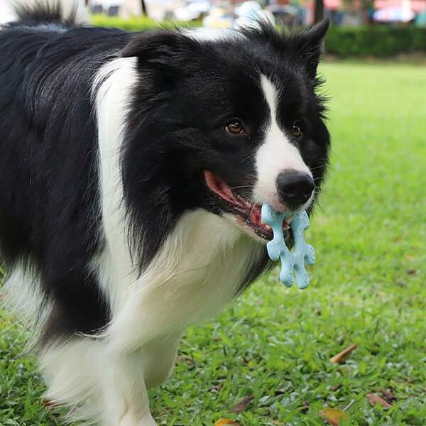 1 peça de brinquedo de silicone em formato de volante para cães - Um brinquedo de treinamento para cães de pequeno e médio porte, macio, durável, que alivia o estresse, feito de materiais, tempo de jogo interativo, design divertido e é para cães.