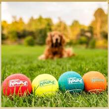 Squeaker Ballz, Interactive Dog Toy, Squeaky Tennis Ball, Durable Dog Toy For Fetch, Multi-Pack Of 4, Medium - Nhiều quả bóng tennis - Xem 3