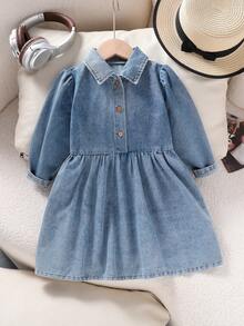 1pc Girls Casual Comfortable Style Light Blue Long Sleeve Dress, Spring/Autumn