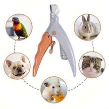 1 宠物指甲钳带 LED 灯，透明指甲修剪放大镜，指甲残留物收集器，宠物卫生指甲钳，指甲锉，狗、猫和小动物指甲修剪器，橙色指甲钳，多色指甲锉，腿部美容工具