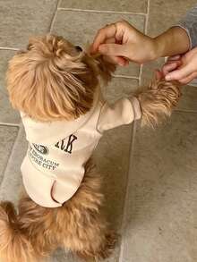 1 件新款秋冬狗狗猫咪连帽运动衫，百搭套头衫，适合贵宾犬、比熊犬、雪纳瑞犬和小型宠物 - 彩色 - 查看 17