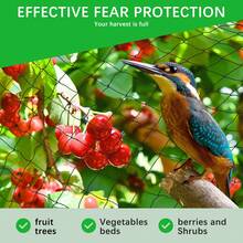 Red antipájaros de 15 m x 15 m con malla de 5 cm, red protectora para jardín, estanque, gatos, balcón, protección UV, para vallas y gallineros, con 10 clavos, 50 bridas y 4 cuerdas de sujeción.