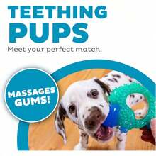 Outward Hound Cutie Chewies Hedgehog Dental Dog Chew Toy, Blue - Màu xanh Cadet - Xem 2