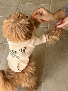 1 件新款秋冬狗狗猫咪连帽运动衫，百搭套头衫，适合贵宾犬、比熊犬、雪纳瑞犬和小型宠物 - 彩色 - 查看 4