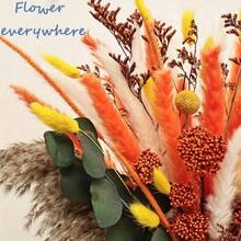 25/43 Pcs Autumn Fluffy Reed And Rabbit Tail Reed Bouquet - Suitable For Wedding, Home And Office Decoration, Unique Bohemian Style, Perfect For Room, Various Occasion Decoration, Natural Flower Arrangement, Such As Christmas, Valentine's Day, Thanksgiving, Mother's Day, Graduation Ceremony, Dried Flower Bouquet