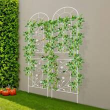 Elegant White Metal Garden Fence For Climbing Plants - Durable Iron Frame With Floral Design, Easy Assembly, Perfect For Enhancing Your Outdoor Space - 典雅白 - 查看 1