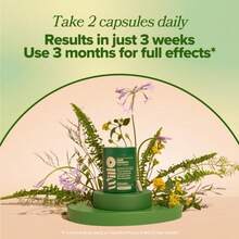 Willo Hair Growth Support – 60 Capsules – Supports Thicker, Fuller Hair With Stress Management Support - 1 包 - 查看 3