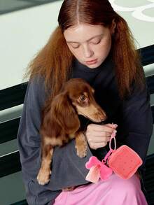 1 pieza Bolsa de entrenamiento de silicona para mascotas para uso en exteriores + 1 pieza Bolsa para desechos de mascotas + 1 pieza Dispensador de bolsas para excrementos de mascotas, Bolsa de recompensas conveniente para pasear perros, Mochila para pecho/cintura para gatos/perros para senderismo, camping