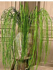 1/3pcs Oversized Chinese-Style Green Willow Artificial Hanging Decor - Durable Plastic Foliage For Wedding, Garden, Yard, Home & Outdoor Party Decorations - No Electricity Needed,Christmas Year-Round Festive Ambiance, Outdoor Decorations, Garden Enhancement, Elegant Ambiance, Easy Installation, Wedding Decorations, Traditional Ornament Decorative Vines Fall Decor Artificial Decorative Plants