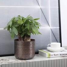 Jarrón de metal de tono cobre clásico de 6 pulgadas, maceta con textura martillada, contenedor cilíndrico para plantas suculentas para interiores, hecho a mano en la India - Cobre antiguo - Ver 10