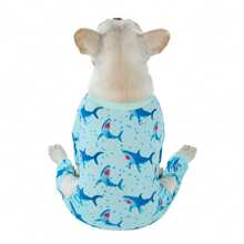 1件时尚可爱的鲨鱼印花宠物睡衣