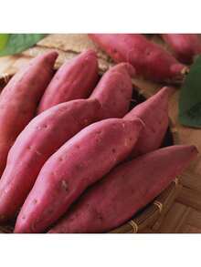 Unique Plants 100Pcs Vegetable Seeds Productive Medium Wate - 1 - 查看 10