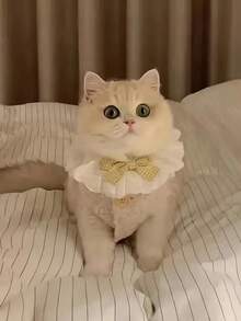 1 Pure Cotton Lace Scarf For Cats, Cat Accessories, Dog Accessories, Cat Items, Pet Bows, Cute Decorative Bibs, Cat Bow Ties, Halloween Decorative Cat Collars