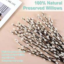 20 件天然干燥白柳枝，适用于圣诞节、复活节、婚礼、家居、派对、酒店、壁炉、花园装饰 - 銀色 - 查看 3