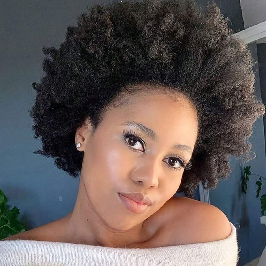 Afro Kinky Curly Wigs 13x4 HD Invisible Lace Front Human Hair Wigs Brazilian Human Hair Wigs For Woman Soft & Fluffy Short Afro Wigs With 180 Density For Everyone & Music Festival Mother's Day Carnival Valentine's Day Halloween All Saints' Day Christmas Day - Natural Black - Xem 1