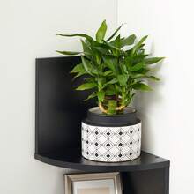 VASAGLE Ladder Shelves - Gris Oscuro - Ver 4