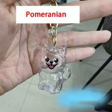 1pc Souvenirs, New Pet Hair Souvenirs Keychain