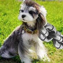 Halloween Themed Funny Pet Leash, Suitable For Medium And Small Dogs, Designed For Outdoor Walking And Training, Made Of Lightweight Polypropylene Material With Chain Design