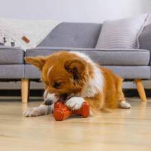 Dogwood Wood Durable Dog Chew Toys, Real Wood Calming Hemp, 2 - Pack, Medium - Dogwood Hold & Chew + Large (Pack of 1) - View 8