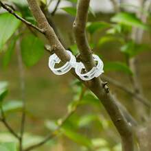 蔬菜水果番茄夹子，塑料藤蔓夹，番茄固定夹 - 綠色 - 查看 4