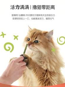 8 Pieces Of Catnip Sticks, Catnip Toys, Cat Teething Toys, Cat Chew Toys, Cat Kitten Special Clean Chewing Molar Sticks, Natural Wood Sticks, Cats Play To Relax, Cats Clean Mouth, Suitable For Cats