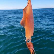 AVLCOAKY 5 piezas Cebo de pesca de 10cm/6g con anzuelo y cola luminosa de plástico tipo calamar, cebo para pesca de pulpo y sepia en agua salada