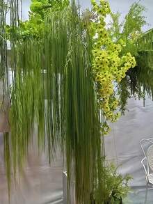 1/3pcs Oversized Chinese-Style Green Willow Artificial Hanging Decor - Durable Plastic Foliage For Wedding, Garden, Yard, Home & Outdoor Party Decorations - No Electricity Needed,Christmas Year-Round Festive Ambiance, Outdoor Decorations, Garden Enhancement, Elegant Ambiance, Easy Installation, Wedding Decorations, Traditional Ornament Decorative Vines Fall Decor Artificial Decorative Plants