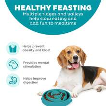 Outward Hound Medium Turquoise Plastic Slow Feeder Dog Bowl - Lightweight, Portable For All Dog Breeds - Màu xanh lam - Xem 2