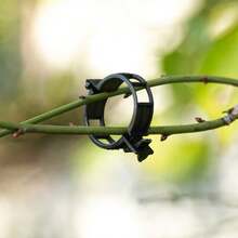 蔬菜水果番茄夹子，塑料藤蔓夹，番茄固定夹 - 綠色 - 查看 6