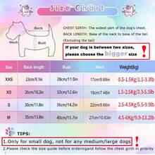 Rochie pentru câini pentru câini de talie mică, iarnă, cățeluș, pisică, pulover haine, caldă, fleece, rochie pentru animale de companie, dungi curcubeu, pluș, prințesă, fustă cu fundă