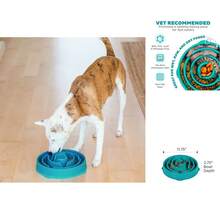 Outward Hound Large 4 - Cup Turquoise Plastic Slow Feeder Dog Bowl, Lightweight & Portable - Màu xanh lam - Xem 1