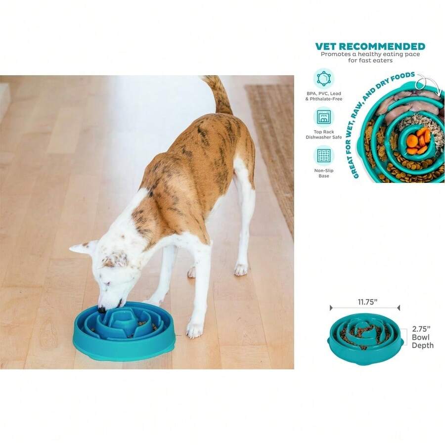 Outward Hound Large 4 - Cup Turquoise Plastic Slow Feeder Dog Bowl, Lightweight & Portable - Màu xanh lam - Xem 1