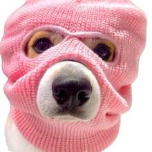 1 件可爱狗头帽，创意宠物头饰，摄影道具，个性化 3 孔保暖针织拉法帽狗用面罩