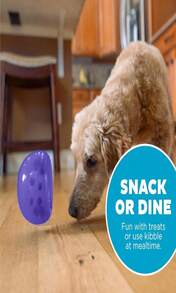 Outward Hound By Planet Dog Snoop Durable Interactive Treat Dispensing Dog Toy, Large, Blue - ColorE - View 6